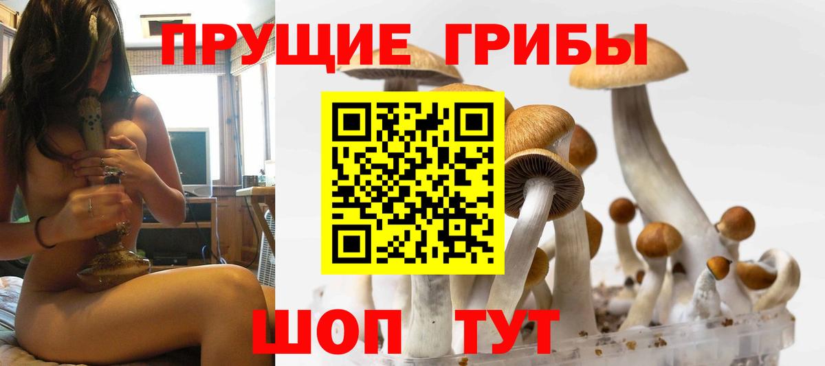 Псилоцибиновые грибы Magic Shrooms  Вход с VPN  Знаменск 
